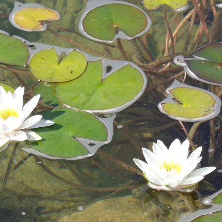 комплекс стара Pliska