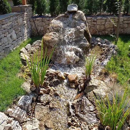 комплекс стара