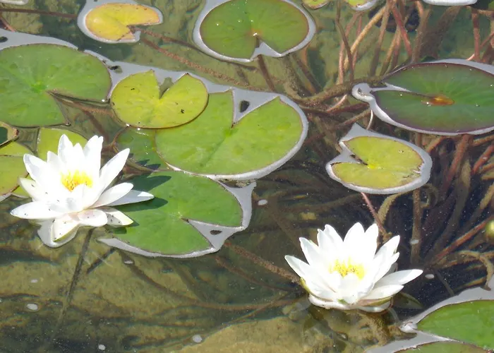 комплекс стара Pliska