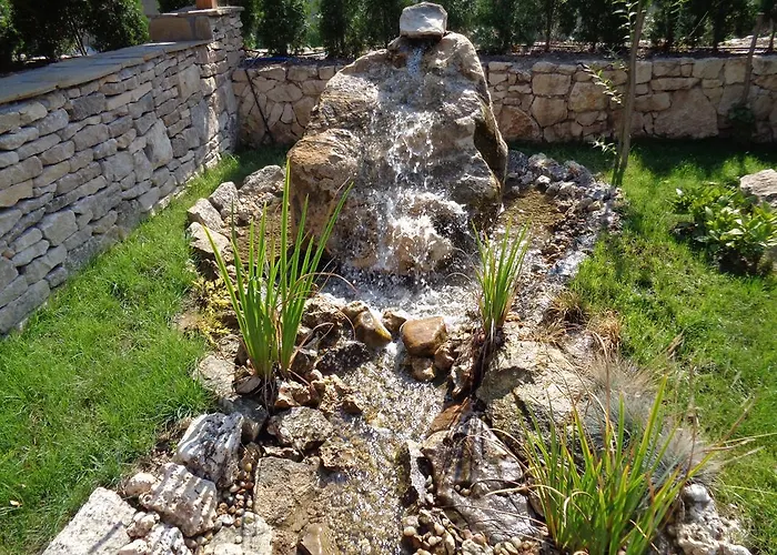 комплекс стара